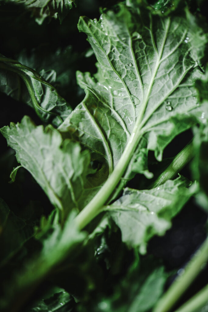 Macro cime di rapa